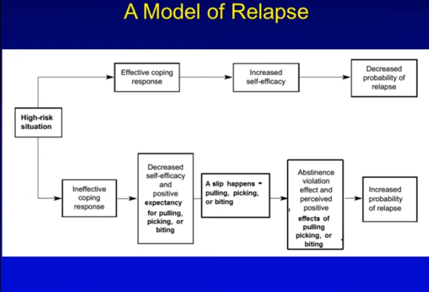 Webinar - Relapse Prevention Strategies | TrichStop.com